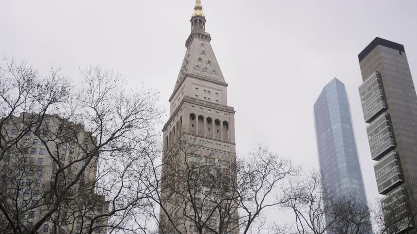 Skyscrapers tower over the leafless tree tops on a cloudy day