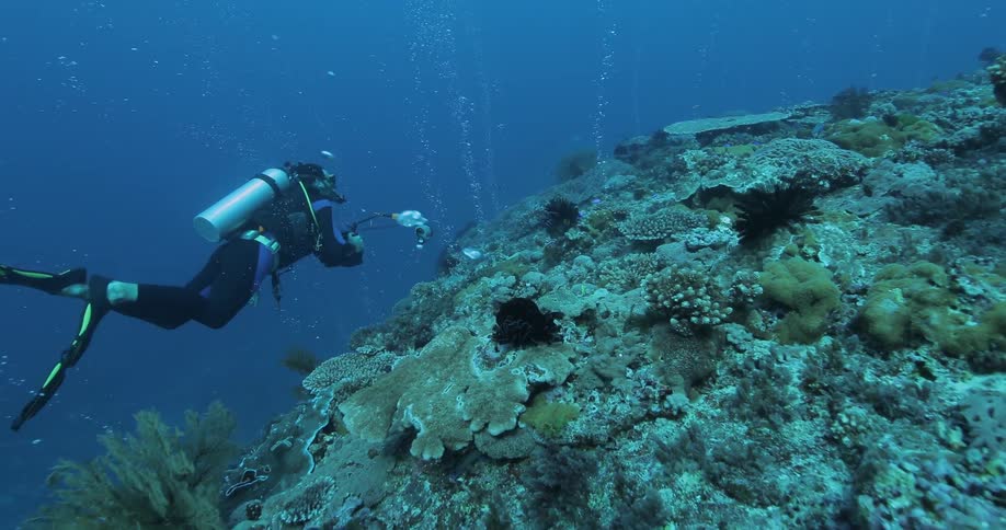 Underwater Photographers In The Ocean