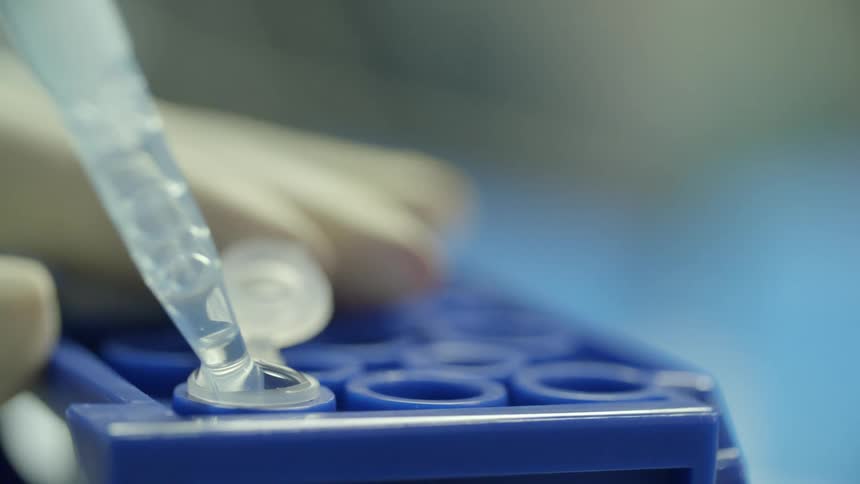 A pipette pulls in the liquid