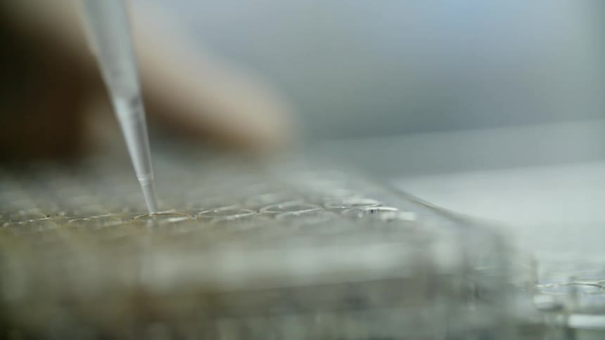 A dropper or pipet is used to push liquid into test tubes in a lab