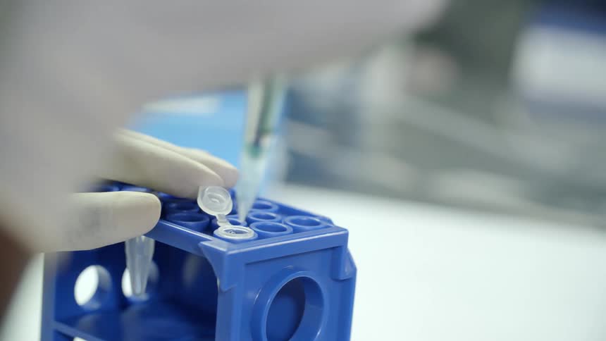 A person with disposable gloves putting a liquid in a test tube
