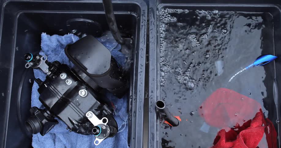 Underwater Photographers In The Ocean