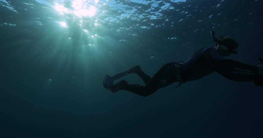 Underwater Photographers In The Ocean