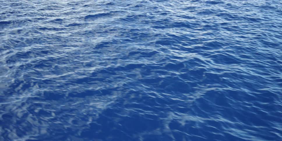 Underwater Photographers In The Ocean