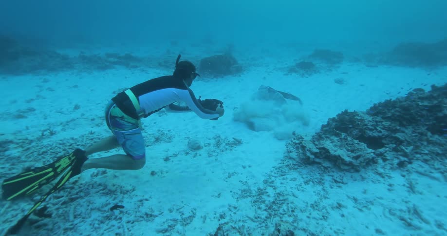 A diver films a stingray in the ocean