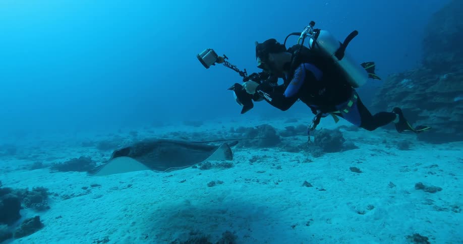 Underwater Photographers In The Ocean