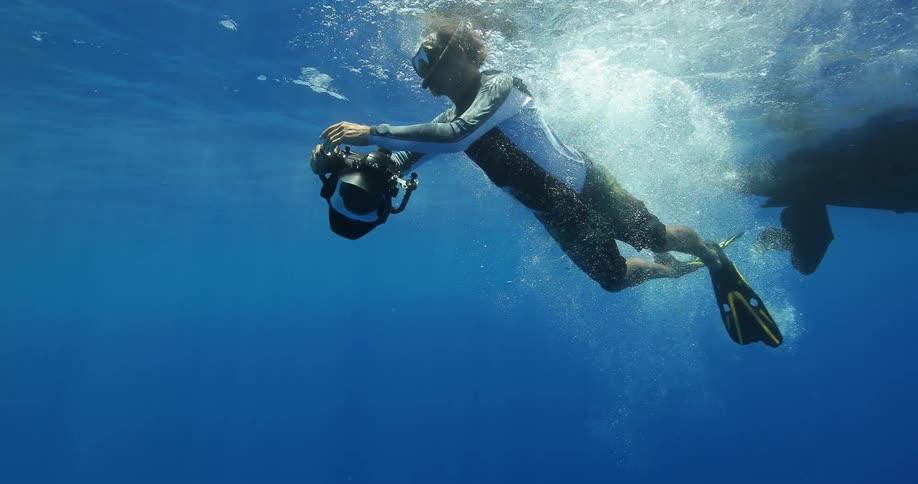 A diver near a whale in the ocean