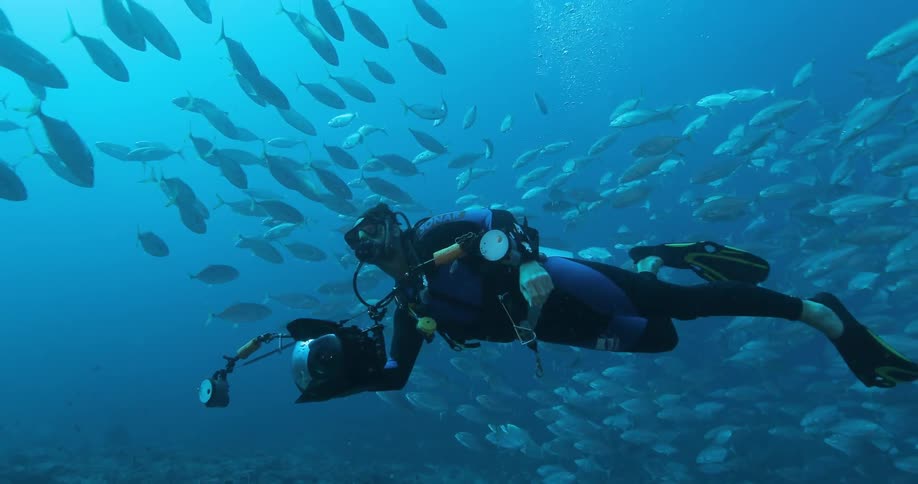 Underwater Photographers In The Ocean