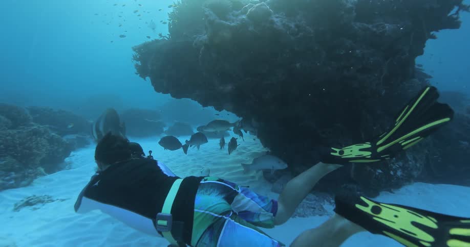 A man is swimming underwater taking photos of fishes