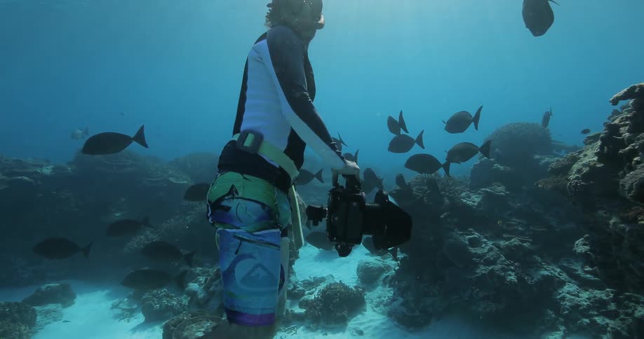 A diver takes pictures of many fish