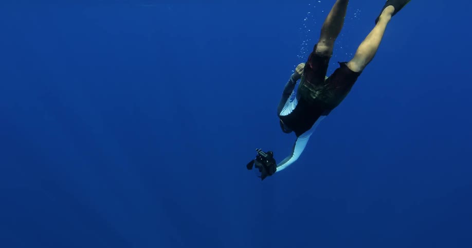 Underwater Photographers In The Ocean