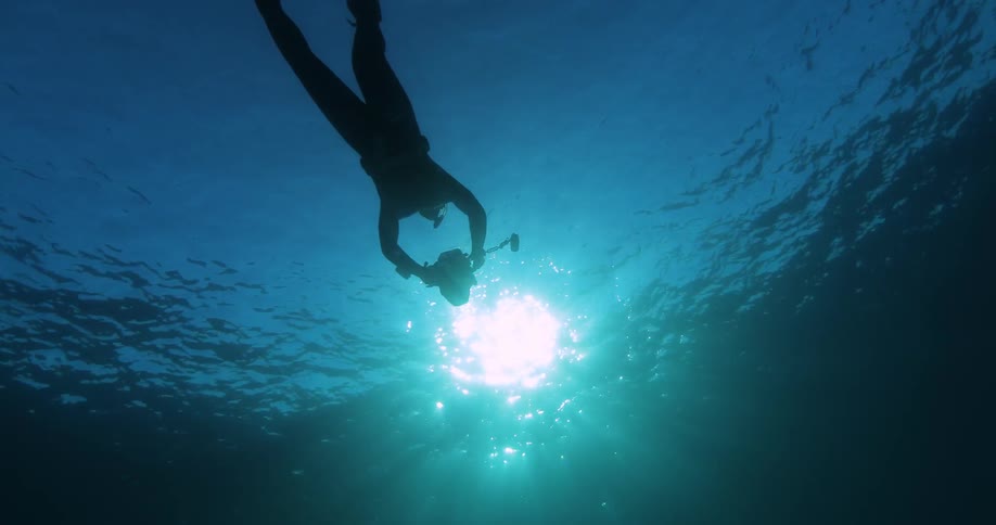 A diver is swimming near the surface of the water with a camera