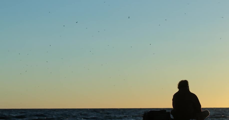Birds flying in the sky over a beach where someone is sitting and looking out over the water