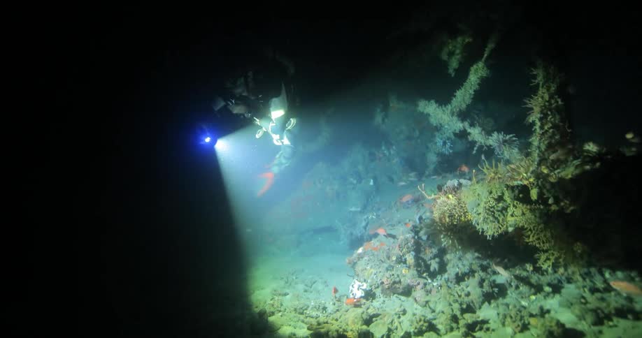 A man scuba dives and shines a flashlight under water
