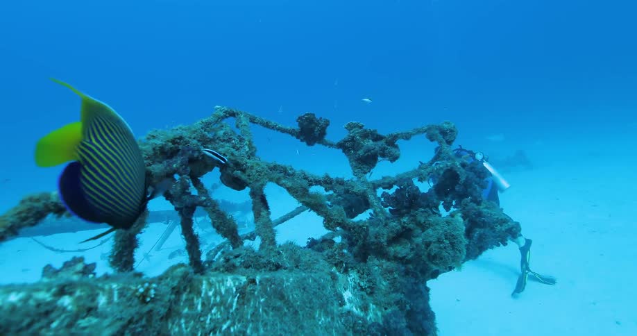 A man is scuba diving near a sunken ship