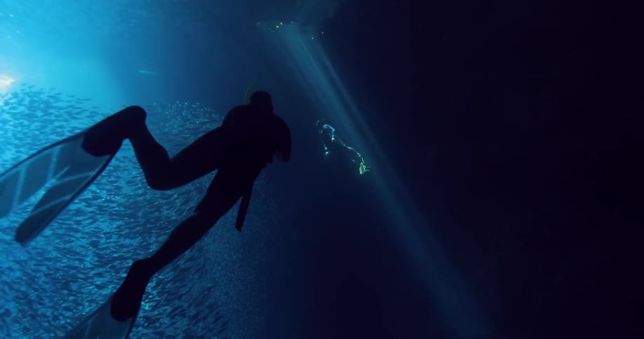 A man in flippers swims through a school of fish while another man swims to the surface