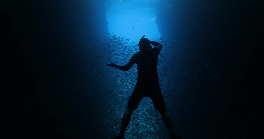 A man is in a cave underwater taking photos of fish