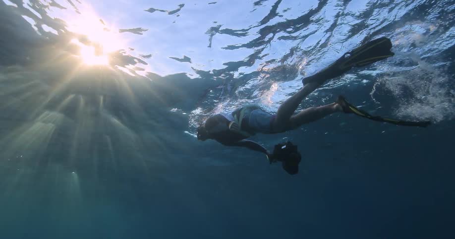 Underwater Photographers In The Ocean