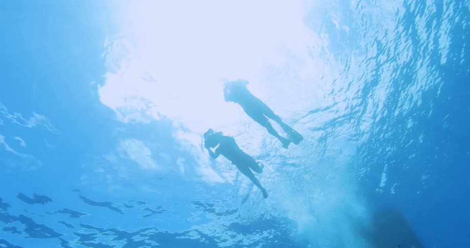 Two people swimming with cameras underwater