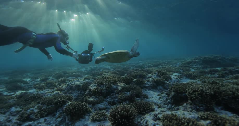 Underwater Photographers In The Ocean