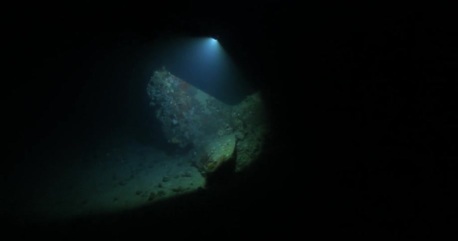 Underwater Photographers In The Ocean