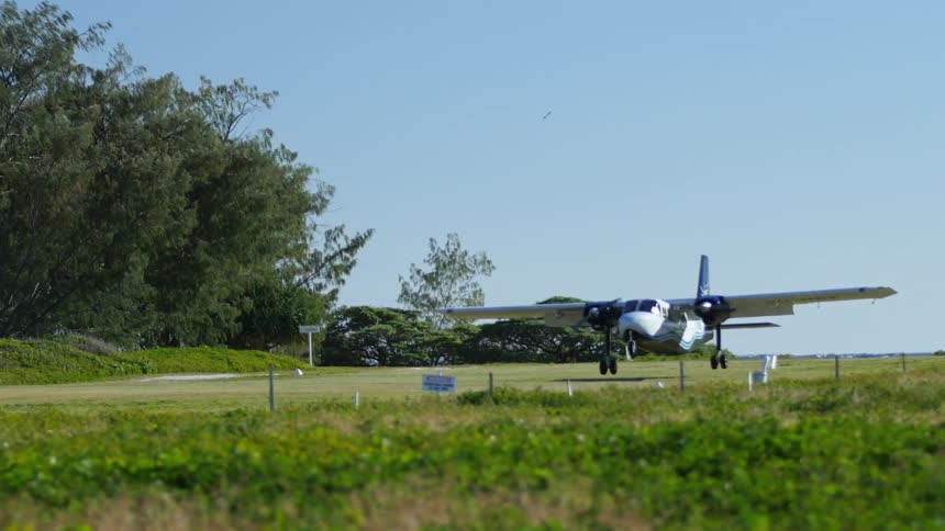 A small airplane landing on a dirt runway lined with trees and a field