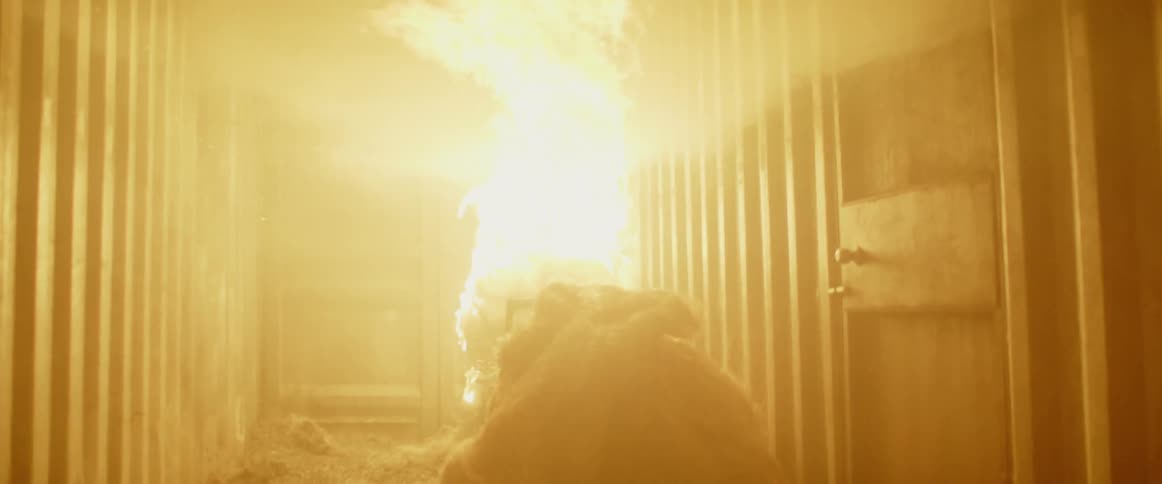 Pile of burning hay in a container