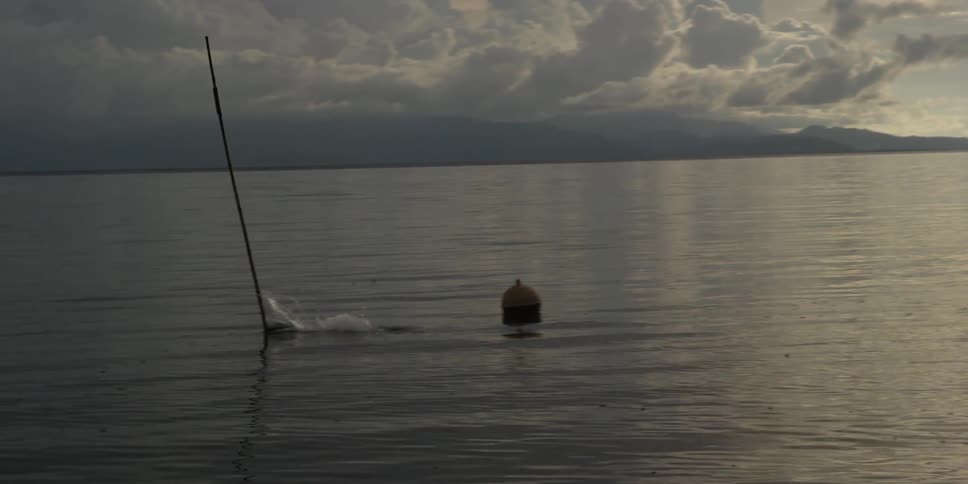 A man is on a raft then he throws a spear into the water as the sun sets