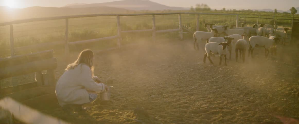 Woman enters sheep corral with a bucket