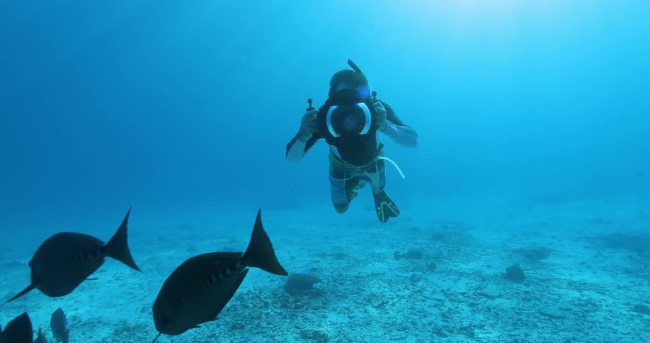 Diver swimming in the ocean photographing fish with an underwater camera