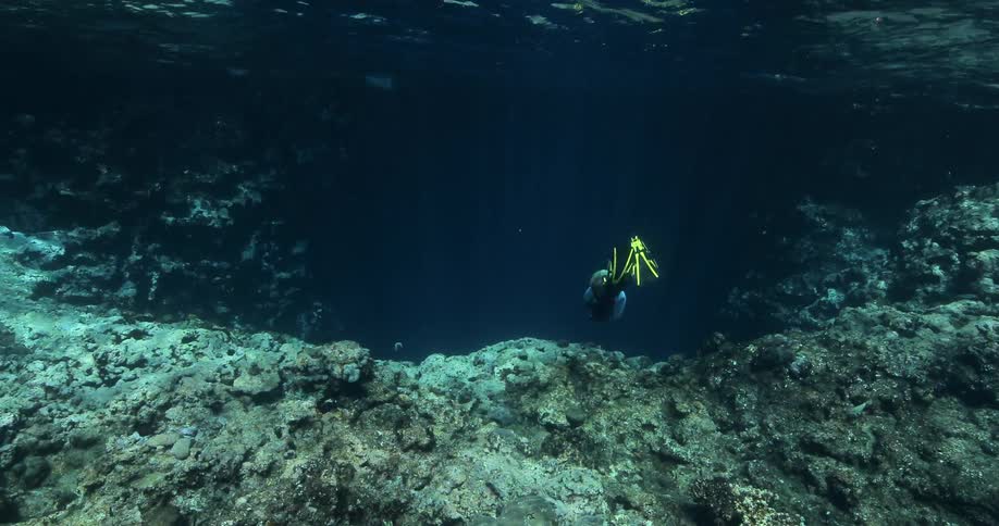 Underwater Photographers In The Ocean