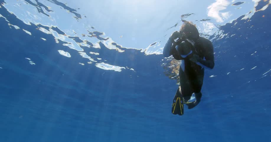 A diver swims and takes photographs in the ocean