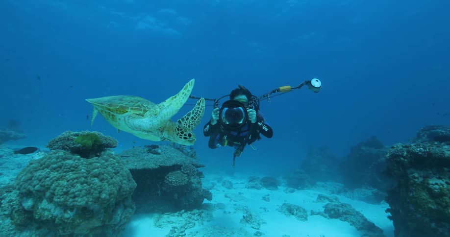 A scuba diver is taking pictures of a sea turtle swimming underwater