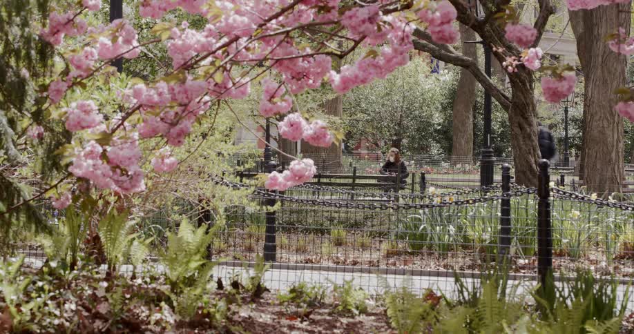 A woman sits on a bench and a man goes by on a scooter