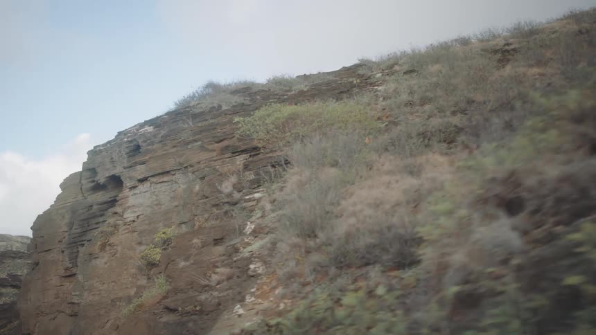 Tall cliffs pass by with plants growing on them
