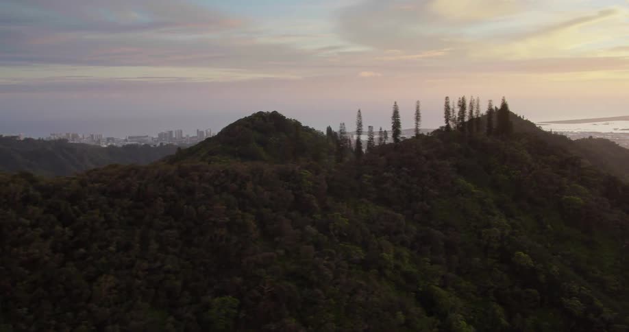 A forest and hills with a city in the background
