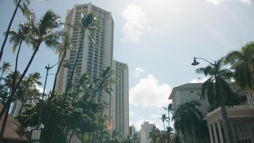 Palm lined streets and high rise hotel in city