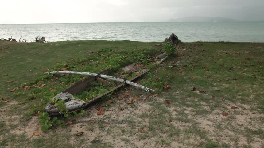 A boat with overgrowth of weeds