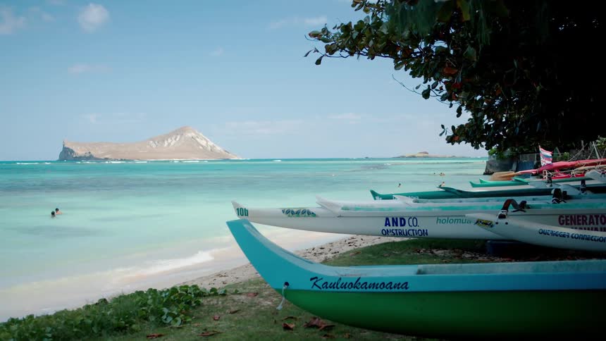 Boats on the shore of a tropical beach