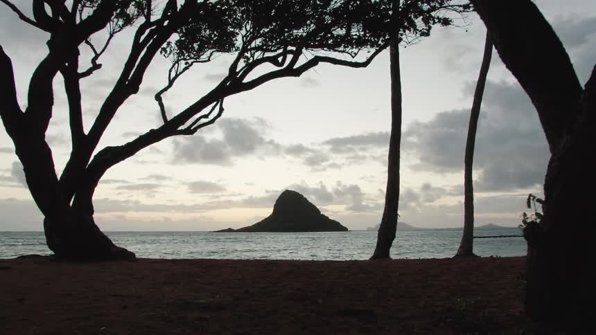 Landscape view of the coast and water