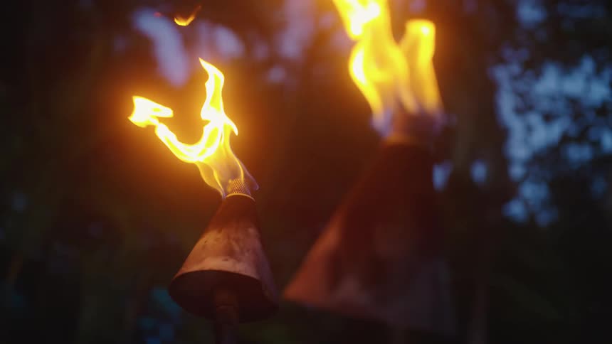 Objects are lit with a flame in a forest area