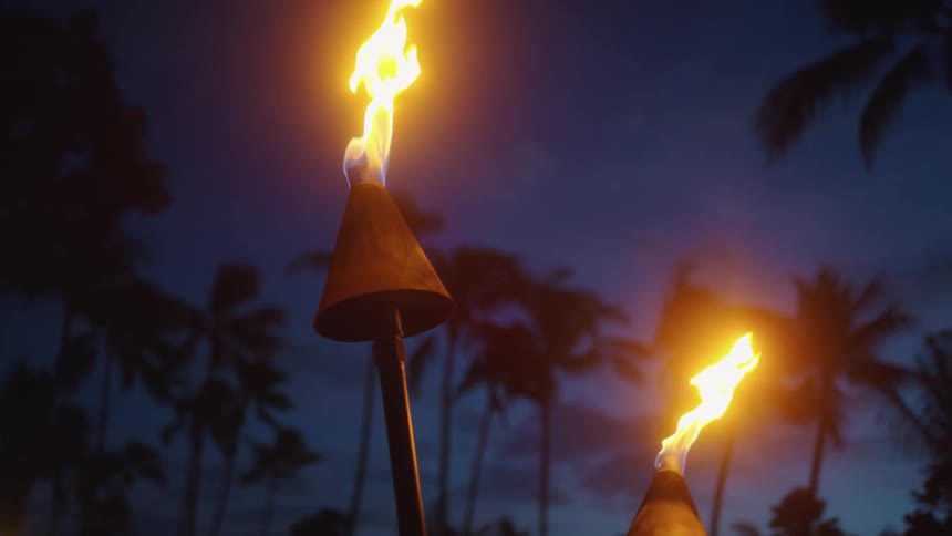 Two tiki torches burn against night sky and silhouettes of palm trees