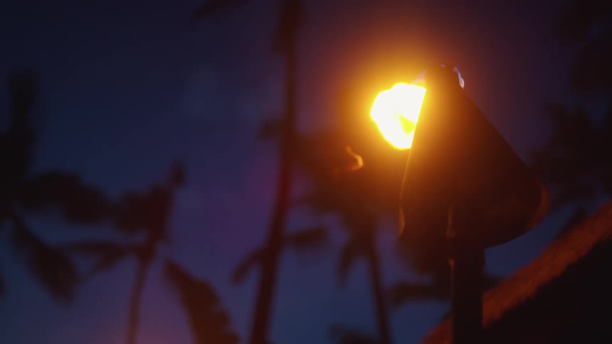 A torch burns outdoors in a tropical area