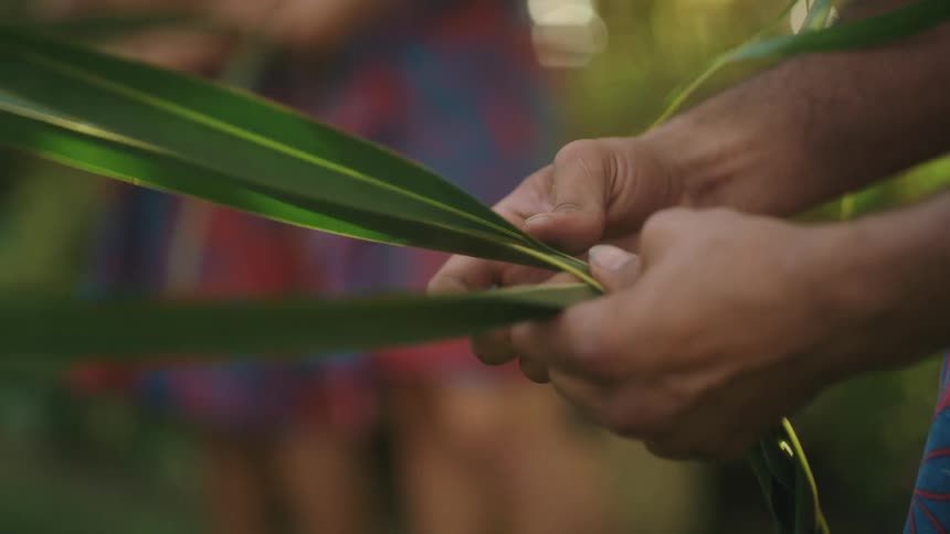 A group of people standing outdoors braiding long leaves together