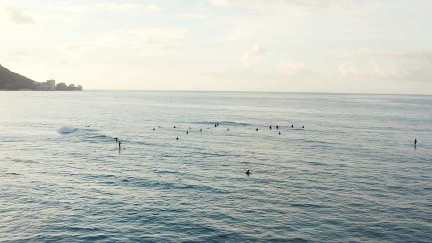 People surfing wading and paddle boarding in the ocean with the city skyline on shore