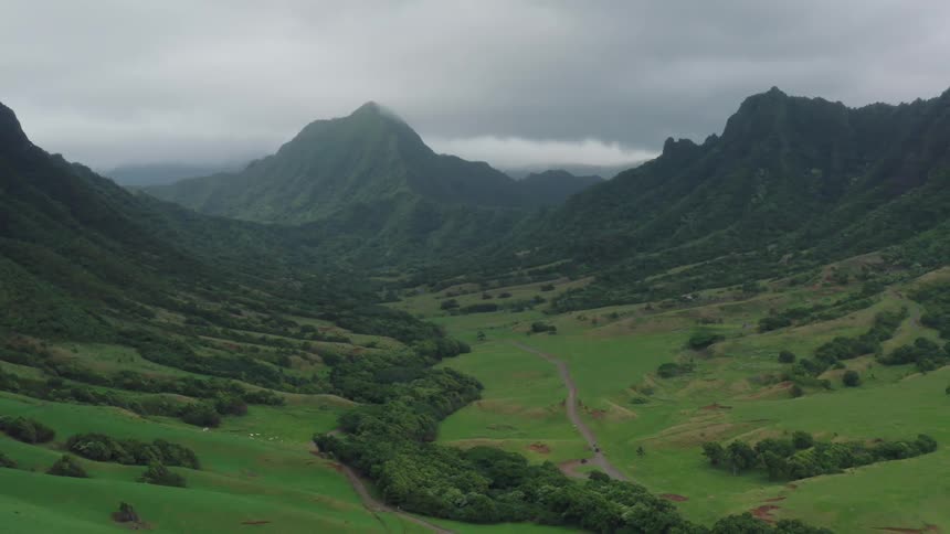 Tropical forest on valley surrounded by mountains