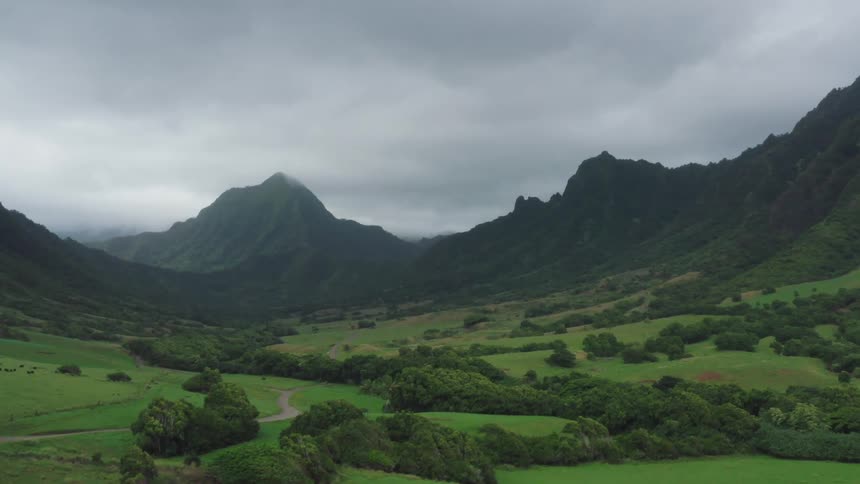 Copse of trees and verdant green fields occupy valley between mountains