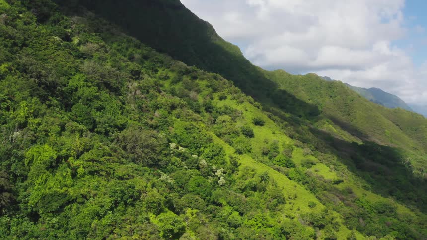 Shadows cover part of forest covered mountain slopes