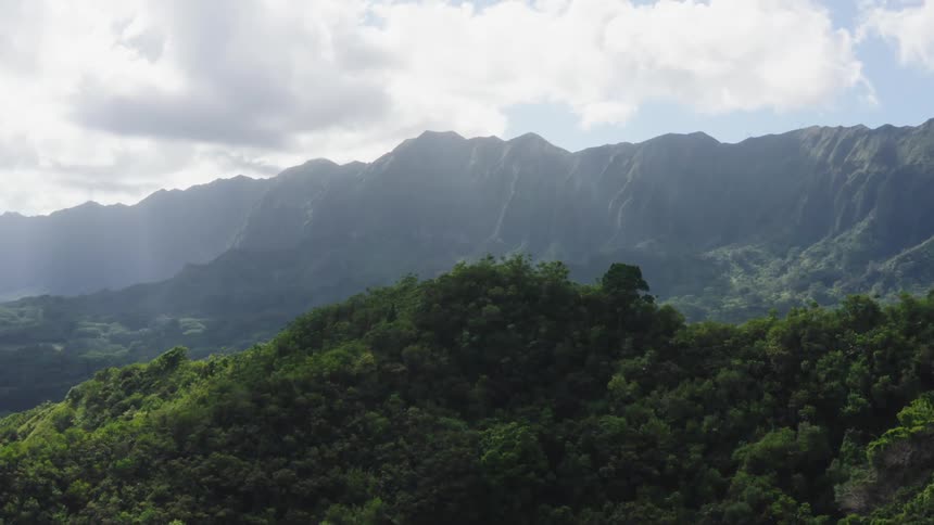 A jungle with trees with mountains in the background