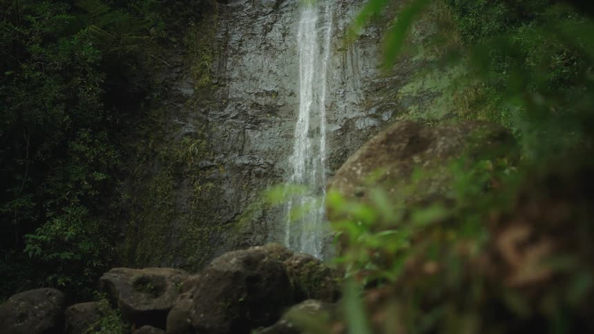 Water flows down the face of a cliff with lush green leaves and plants